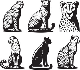 cheetah bundle vector © design master