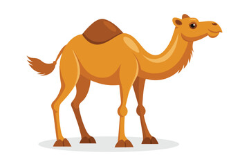 Camel animal flat vector illustration on white background