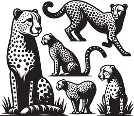 cheetah bundle vector