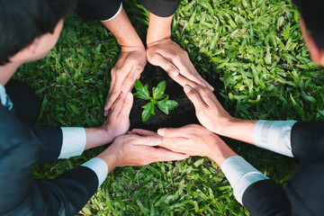 Top view group of businesspeople grow and nurture plant together on fertilized soil concept of eco...