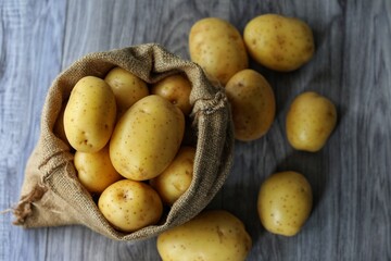 Potatoes in a bag, on a gray background, root vegetables, vegetables, free space, place for text,...