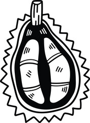 hand drawn delicious durian illustration in line style