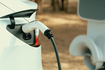 Closeup EV charger handle plugged in or connect to electric car, recharging EV car battery with...