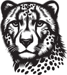 cheetah vector ilastration