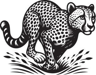 cheetah vector ilastration