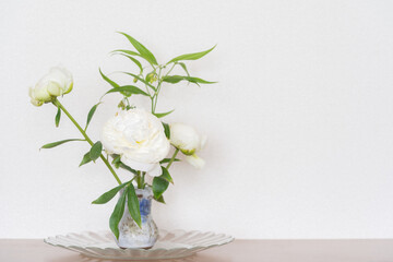 フランスビンテージの花器に飾った白い芍薬