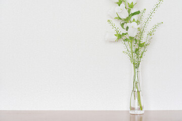 クリアな花瓶に飾った白いカンパニュラ