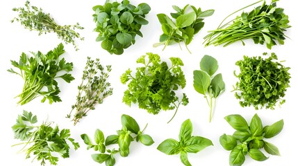Fototapeta premium Assortment of Freshly Picked Aromatic Herbs and Greens for Healthy Cooking and Culinary Purposes
