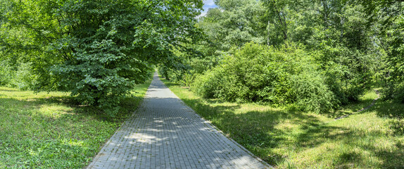 path through summer park surrounded by green trees lit by sunlight. panoramic view.