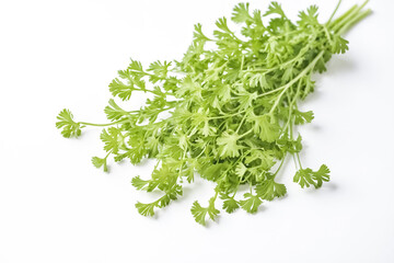 Fototapeta premium Fresh green cilantro leaves on a white background