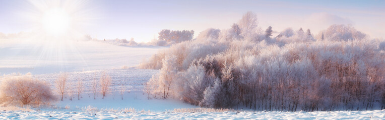 Snow, sunrise and panorama with scenic, winter and sunshine for Denmark nature background....