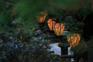 第21番札所　太龍寺 ...