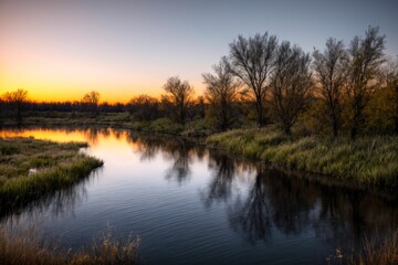 nature park trees and river under sunset in summer. pond lake reflections in field and fog scenery.