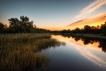 Obraz premium nature park trees and river under sunset in summer. pond lake reflections in field and fog scenery.