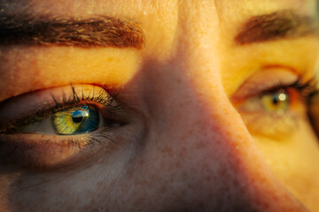 An intense close-up of a person's eyes reflecting a natural landscape. The eyes are vibrant with...