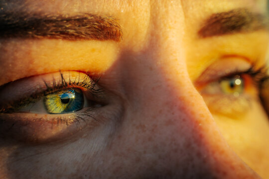 An intense close-up of a person's eyes reflecting a natural landscape. The eyes are vibrant with striking green and yellow colors, framed by dark eyebrows and illuminated by warm sunlight