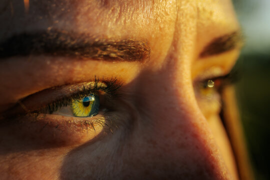 An intense close-up of a person's eyes reflecting a natural landscape. The eyes are vibrant with striking green and yellow colors, framed by dark eyebrows and illuminated by warm sunlight