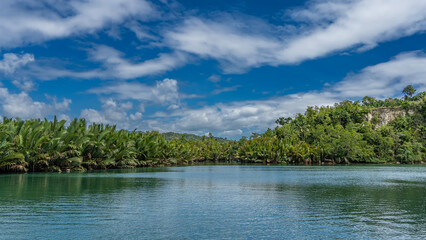 A calm turquoise tropical river. There are impenetrable thickets of palm trees on the banks....