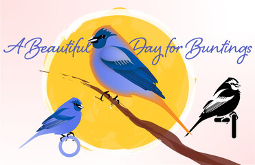 Vector Indigo Buntings Basking in Sunlight