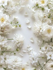 A composition of white flowers. wedding background concept. Flat plan, top view, place for text