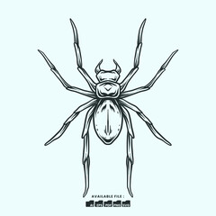 Vector Illustration Spider Handdrawn Simetrical