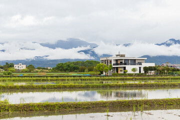 Fototapeta premium Taiwan Yilan Dongshan Township countryside