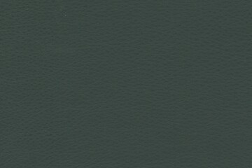 dark green leather vinyl texture background, hi res vintage leather detail overlay for graphic design
