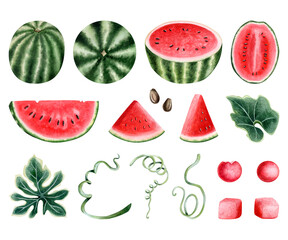 Fresh red and green watermelon set with berry, slices, seeds, leaves and ice cream scoops. Hand drawn fruit watercolor illustration collection isolated on white for organic food and juices designs