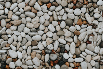 Gravel texture. Fine gray stone gravel. Natural textural background