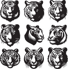 tiger bundle art ilastration