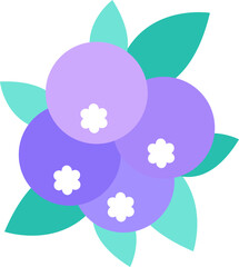 Blueberry icon
