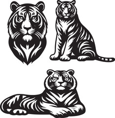 tiger bundle art ilastration