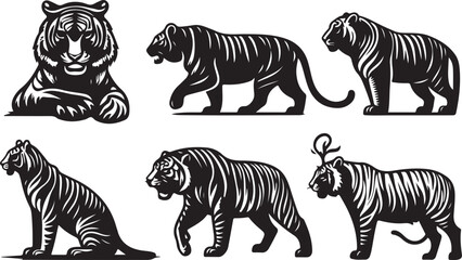 tiger bundle art ilastration