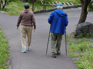 elderly people are walking with hiking sticks, canes walk  in spring or summer park. back rear view. Two sporty old pensioner going forward. Family hikers enjoy nordic walk Senior elder couple stroll