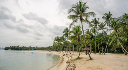Sentosa Island, Singapore. Sentosa beaches reveal paradise of bright sands and palm trees. idyllic...