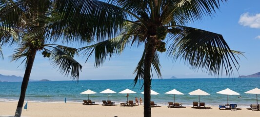 a tranquil beach scene with palm trees, sun loungers under white umbrellas, and a clear blue sky. sandy beach stretches toward calm sea, inviting relaxation and leisure.