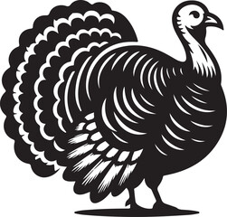 turkey vector ilastration