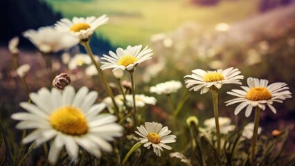 Obraz premium Idyllic Floral Landscape with Blue Sky
