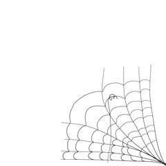 illustration of a spider web for your horror design decoration. cobweb illustration.