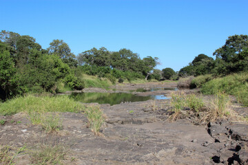 Afrikanischer Busch - Krügerpark - N'wanetsi River / African Bush - Kruger Park - N'wanetsi River /