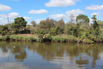 Afrikanischer Busch - Krügerpark - Sweni River / African Bush - Kruger Park - Sweni River /