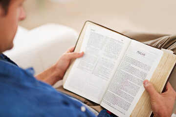 Person, hands and reading bible or Christianity religion for study information, book or belief....