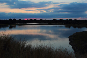 Naklejka premium Afrikanischer Busch - Krügerpark - Sonnenuntergang am Nsemani Damm / African Bush - Kruger Park - Sundown at Nsemani Dam /