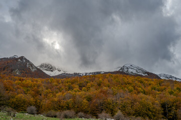 Molise, Mainarde. Autumn landscape. Foliage