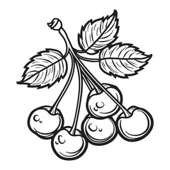 Cherries line art logo design, black vector illustration on white background