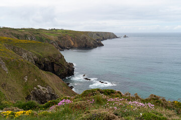 Des fleurs jaunes, roses et blanches ornent les falaises surplombant la mer d'Iroise en Bretagne.