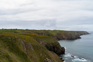 Les falaises de la Côte Sauvage et la mer d'Iroise au printemps, sous un ciel couvert en Bretagne.