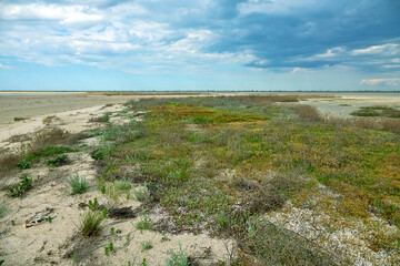 Lagoon during drying with strong wind (downsurge). Saltwater shallow waters exposed. Sand-shell...