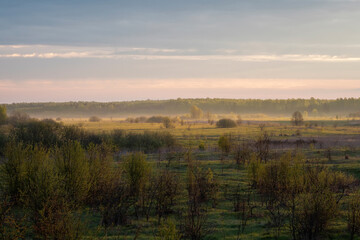 sunrise and morning fog in spring over a field with trees