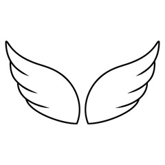 Fototapeta premium wings flying illustration